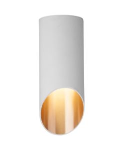 Потолочный светильник Elektrostandard DLN114 GU10 белый/золото a050119