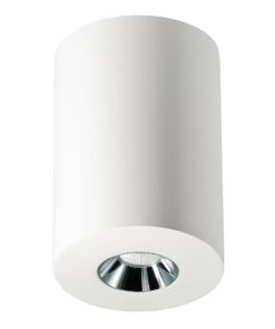 Потолочный светодиодный светильник Elvan NLS-210067-4.2W-WW-WhCh