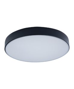 Потолочный светодиодный светильник Loft IT Axel 10002/24 black