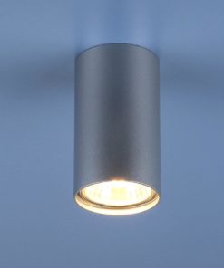 Потолочный светильник Elektrostandard 1081 5257 GU10 SL серебро a037714