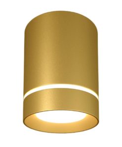 Потолочный светодиодный светильник Elektrostandard DLR021 9W 4200K золото матовый a049492