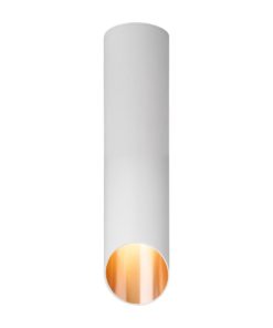 Потолочный светильник Elektrostandard DLN115 GU10 белый/золото a050121