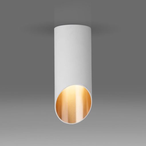 Потолочный светильник Elektrostandard DLN114 GU10 белый/золото a050119