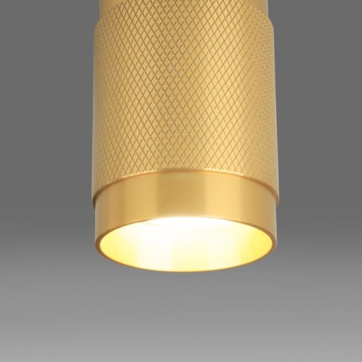 Потолочный светильник Elektrostandard Tony DLN109 GU10 золото a047741