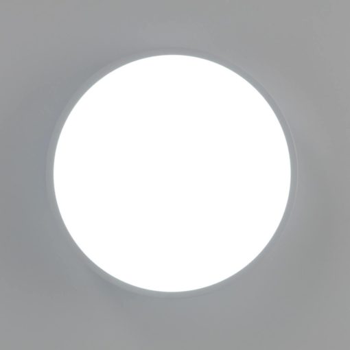 Потолочный светильник Citilux Купер CL72424V0