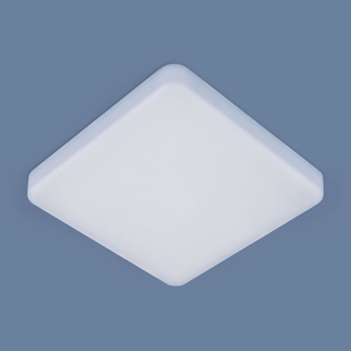 Потолочный светодиодный светильник Elektrostandard DLS043 10W 4200K a047941