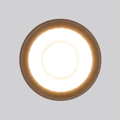 Уличный светодиодный светильник Elektrostandard Light Led 35132/H черный a056231