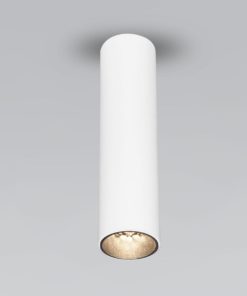 Накладной светодиодный светильник Elektrostandard Pika 25031/LED белый a061537