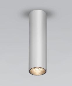 Накладной светодиодный светильник Elektrostandard Pika 25031/LED серебро a061535