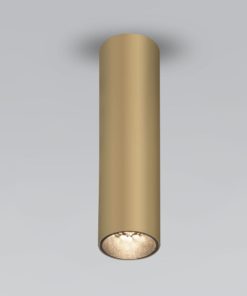Накладной светодиодный светильник Elektrostandard Pika 25031/LED золото a061536