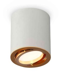 Комплект накладного светильника Ambrella light Techno Spot XS7423022 SGR/PYG серый песок/золото желтое полированное (C7423, N7004)