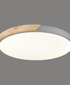 Потолочный светодиодный светильник Velante 445-267-01