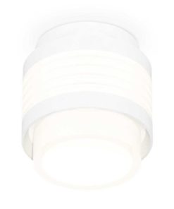 Комплект накладного светильника Ambrella light Techno Spot XS (C8431, N8401) XS8431001