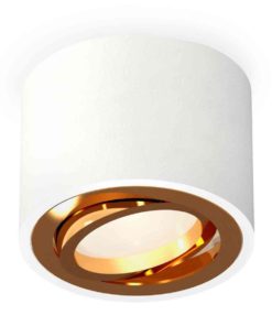 Комплект накладного светильника Ambrella light Techno Spot XS7510004 SWH/PYG белый песок/золото желтое полированное (C7510, N7004)