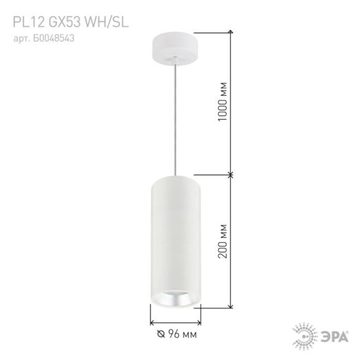 Подвесной светильник ЭРА PL12 GX53 WH/SL Б0048543