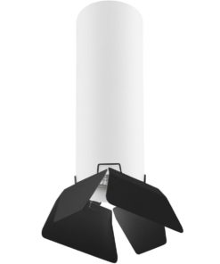 Потолочный светильник Lightstar Rullo (214496+202437) R496437