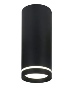 Потолочный светодиодный светильник Escada 20009SMU/02LED SBK