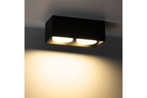 Накладной потолочный светильник Ritter Arton 51404 6
