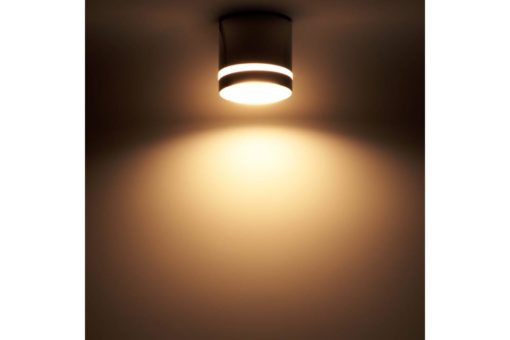 Накладной потолочный светильник Ritter Arton 59944 9