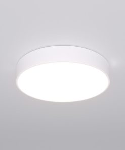 Потолочный светодиодный светильник Eurosvet Entire 90319/1 белый