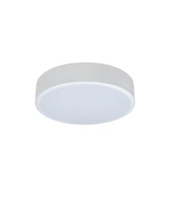 Потолочный светодиодный светильник Loft IT Axel 10002/12 white