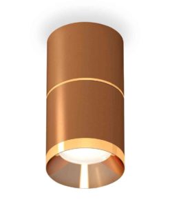 Комплект накладного светильника Ambrella light Techno Spot XS7404061 SCF/PYG кофе песок/золото желтое полированное (C7404, A2072, C7404, N7034)