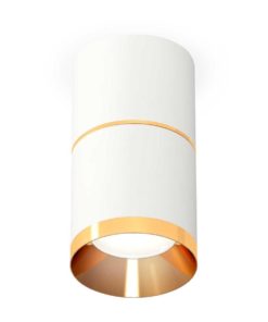 Комплект потолочного светильника Ambrella light Techno Spot XS (C7401, A2072, N7034) XS7401201