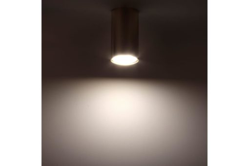 Накладной потолочный светильник Ritter Arton 59953 1